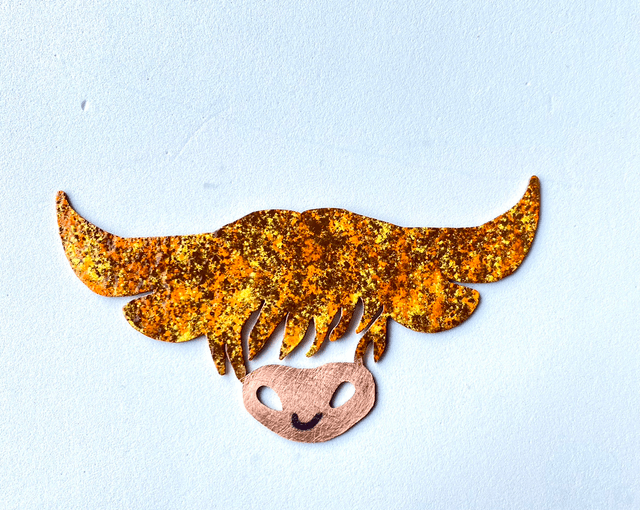 Duncan the Coo Colours