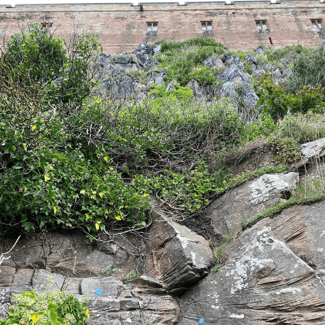 Bamburgh textures Thor Hammer Bebbanburg  The last Kingdom