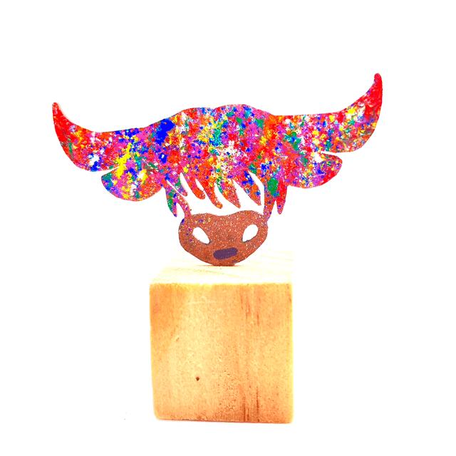 Duncan the Coo Colours