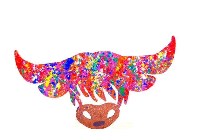 Duncan the Coo Colours