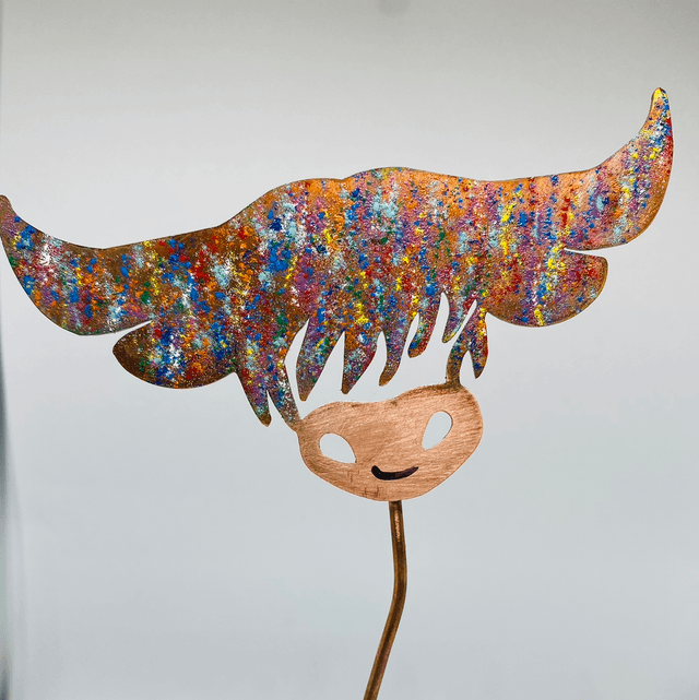 Duncan the Coo Colours